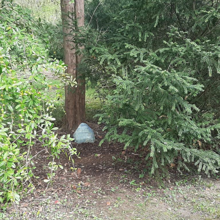 Grabstein-Findling Köln - mit eingravierter Schrift unter einem Baum