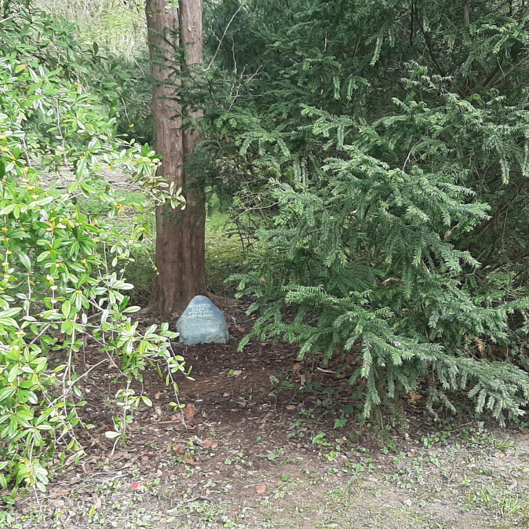 Grabstein-Findling mit eingravierter Schrift unter einem Baum