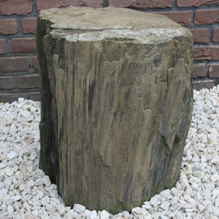 Stück eines versteinerten Baumes, als Gartenskulptur oder Grabstein nutzbar