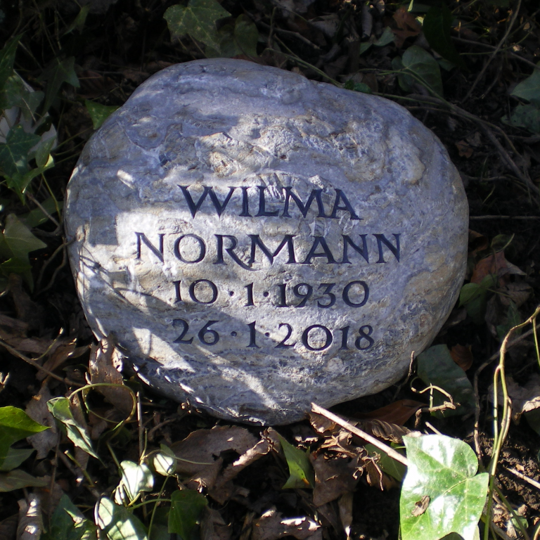 Findling-Grabstein für ein Urnengrab mit eingehauener und  getönter Kapitalis-Quadrata Beschriftung