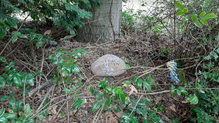 Beschrifteter Grabstein-Findling am Fuße eines Baumes