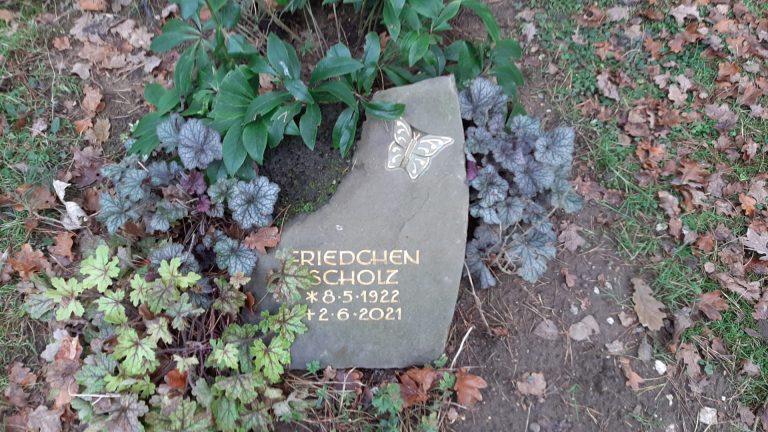 Vergoldete Jugendstil-Inschrift und halbplastisches  Schmetterlings-Ornament in Bergischer Grauwacke