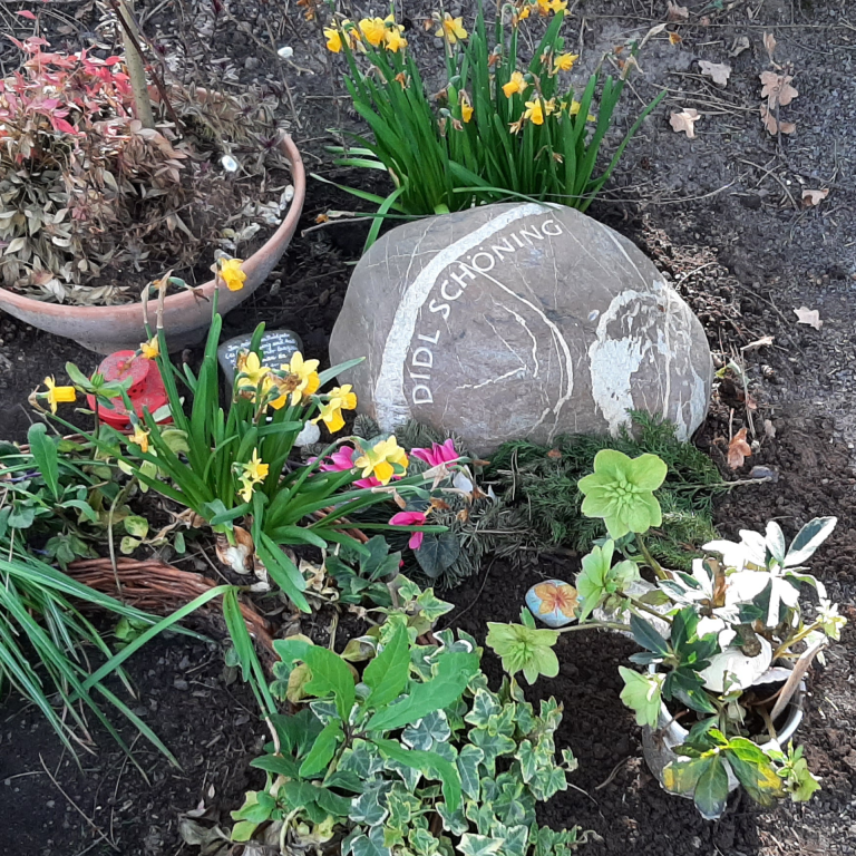 Weiß marmorierter, grauer Sandstein-Findling für ein  Baumwahlgrab, mit im Bogen angeordneter, eingehauener  Beschriftung