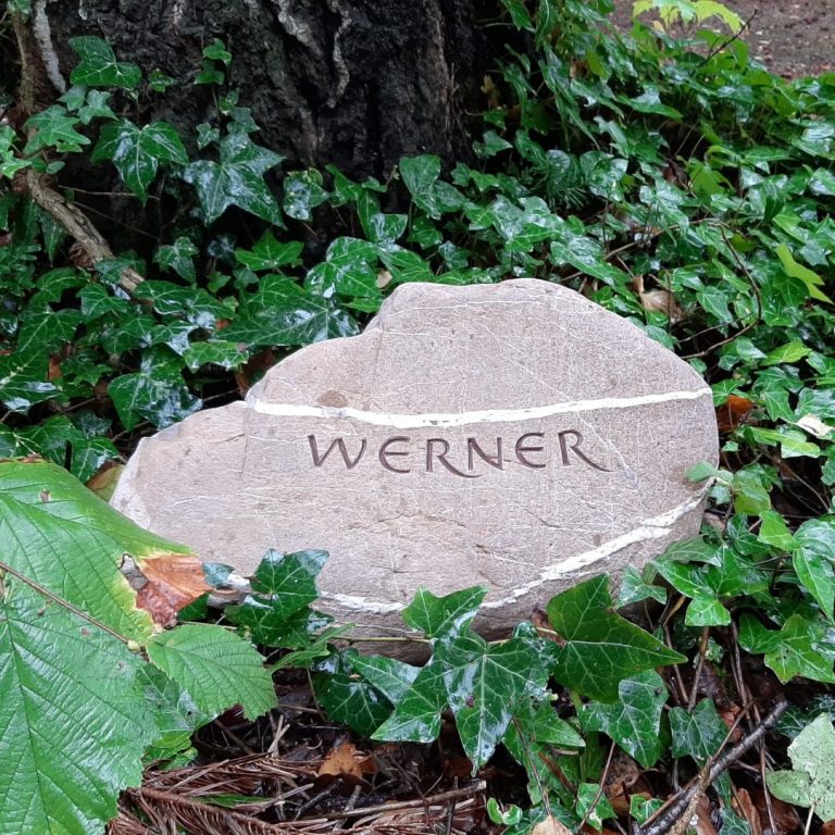 Weiß marmorierter, rötlicher Grabstein-Findling für ein Baumgrab,  mit eingehauener, getönter Beschriftung